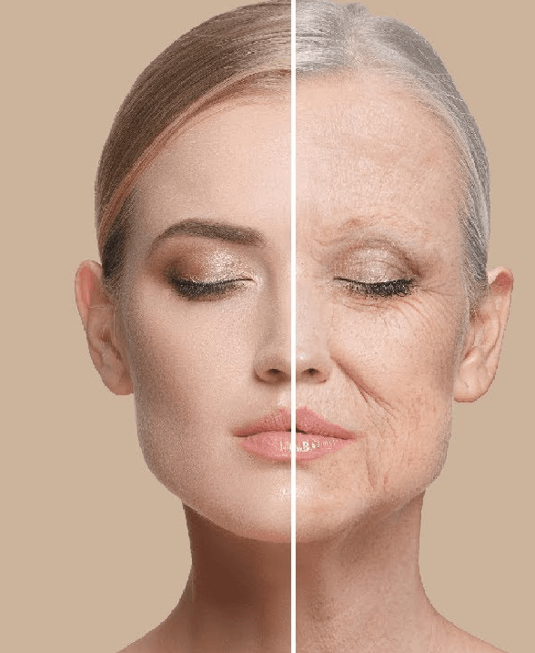 Anti Aging